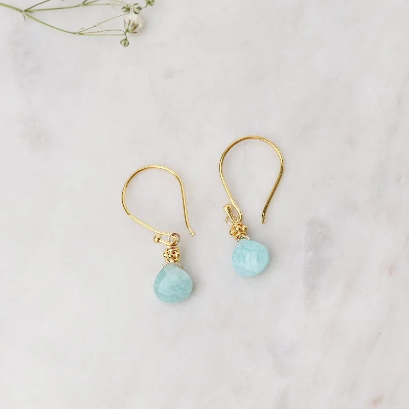 gemstone chandelier earrings for women-Tiny Gold Fill Amazonite Earrings