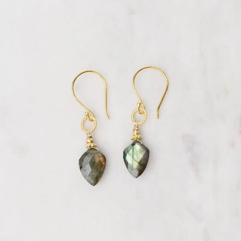 chic gemstone earrings for women-Gold Labradorite Spade Earrings