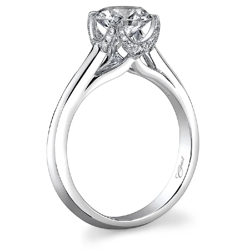 stunning diamond engagement rings with side stones for women-Engagement ring